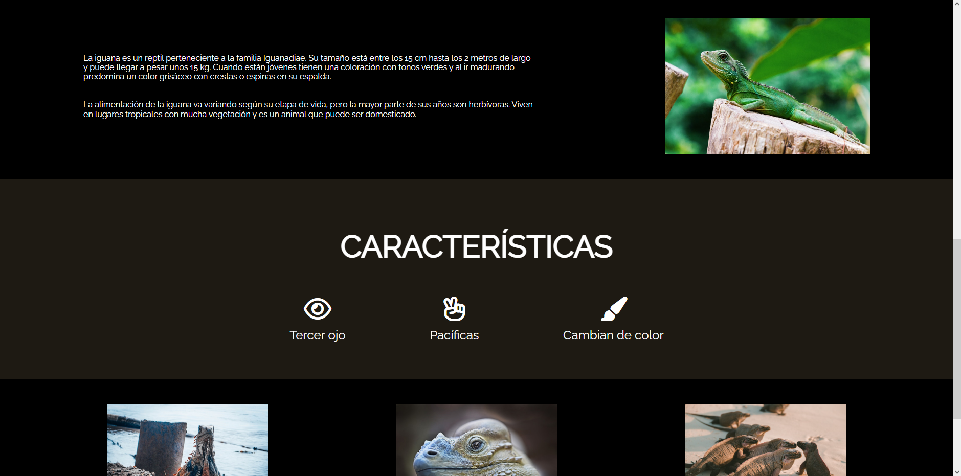 imagen del desafío iguana page