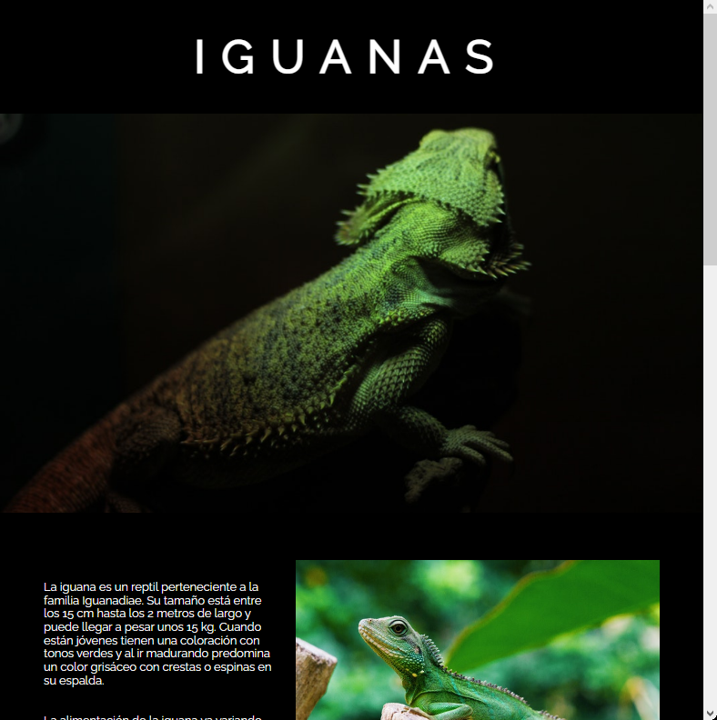 imagen del desafío iguana page vista tablet